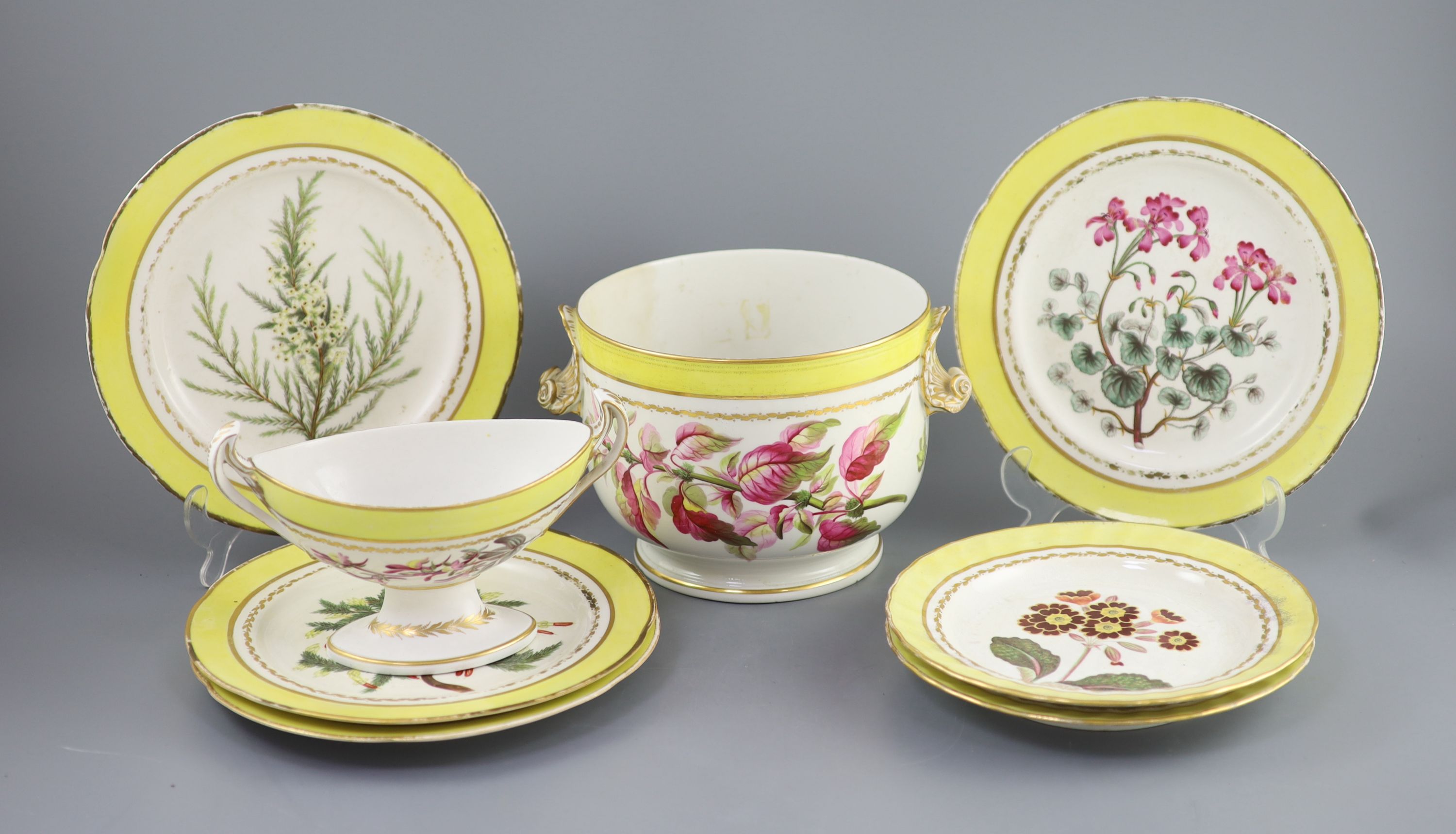 A group of Derby yellow ground botanical dessert and dinner wares, c.1790-1810